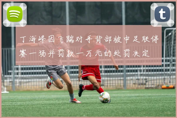 丁海峰因飞踹对手背部被中足联停赛一场并罚款一万元的处罚决定